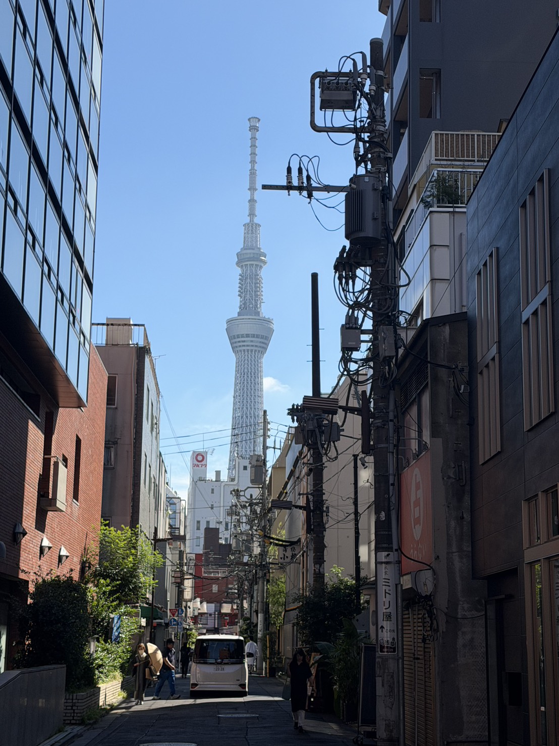 青空の下、浅草の通りから見える東京スカイツリー